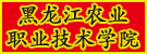 体球网手机新版(控股)有限公司